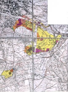 Standortkarte Veitswald