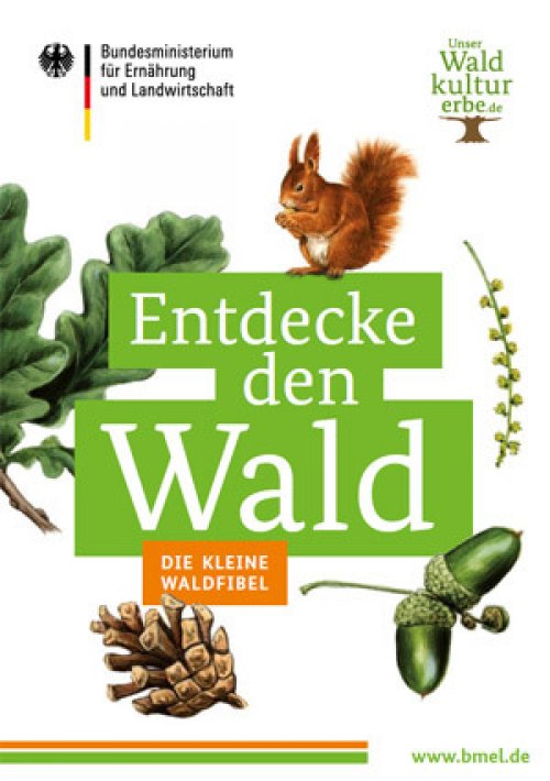 Die kleine Waldfibel