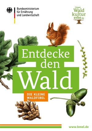 Die kleine Waldfibel