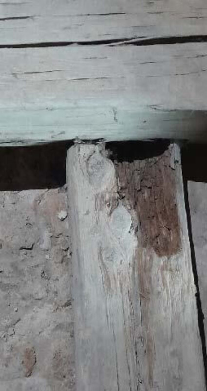 Sanierung der St. Veit Kirche Sanierung der St. Veit Kirche