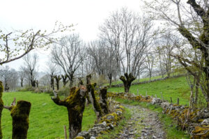 OktNov25_img_16 OktNov25_img_16