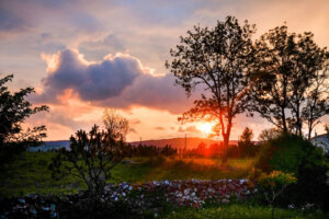 OktNov25_img_20 OktNov25_img_20