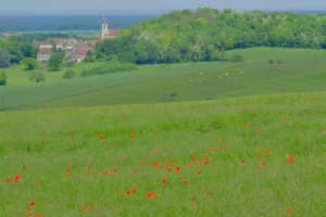 Pilgern_Frankreich_20170520_12 Pilgern_Frankreich_20170520_12