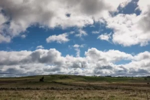 Pilgern_Lasbros_Aubrac_20190511_27 Pilgern_Lasbros_Aubrac_20190511_27